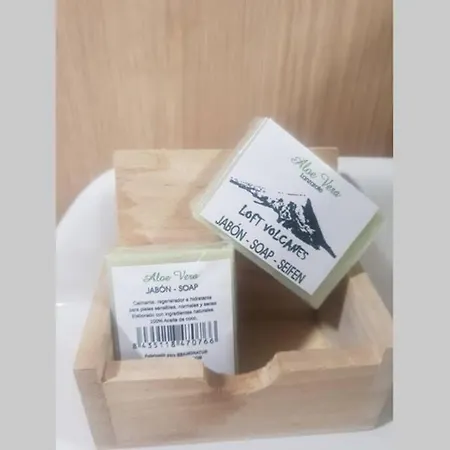 Loft Volcanes Holiday home *