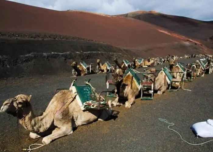 Loft Volcanes La Costa